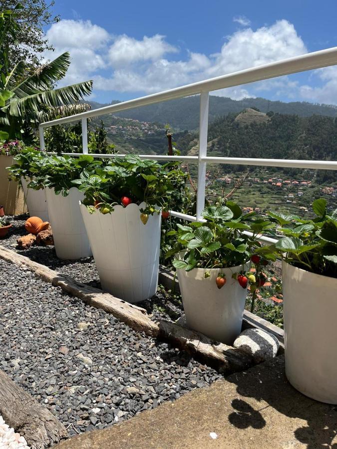 Tropical House Villa Ribeira Brava Ngoại thất bức ảnh