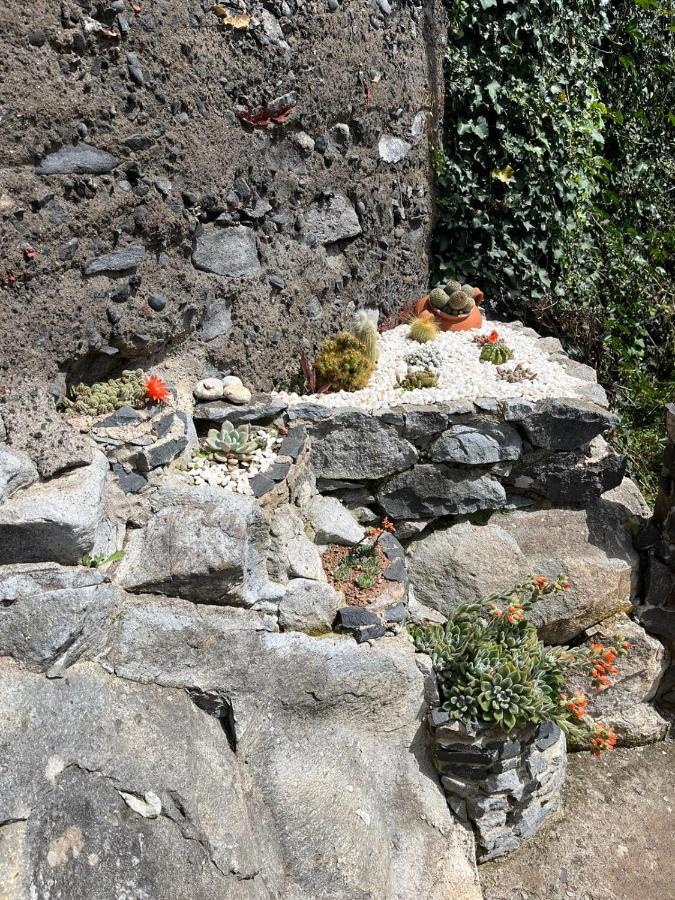 Tropical House Villa Ribeira Brava Ngoại thất bức ảnh